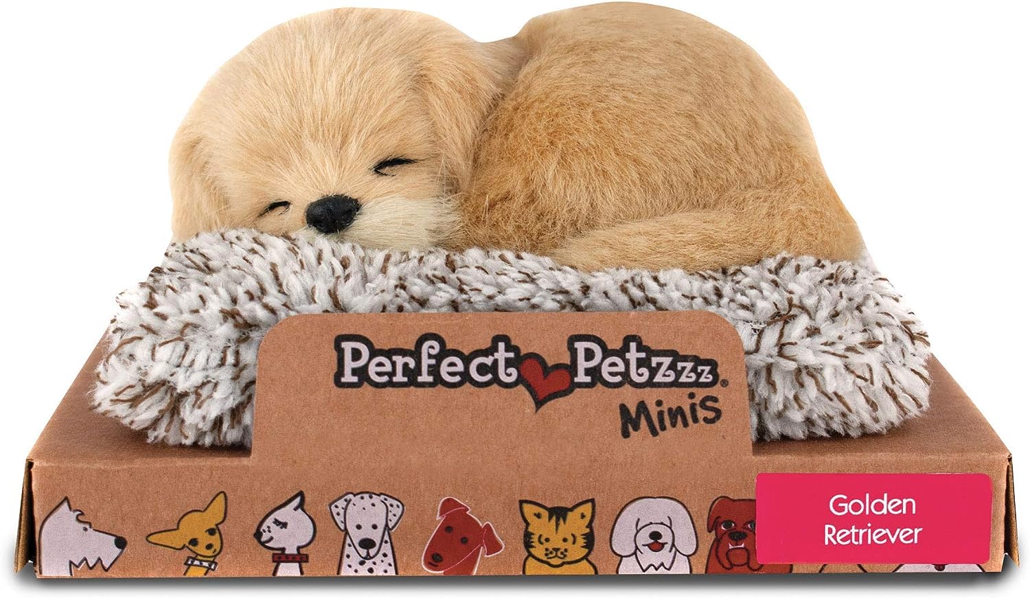 Homepage - Perfect Petzzz