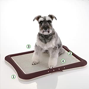 Richell Paw Trax Mesh Training Tray for puppies and mature dogs (Brown) - Hatke