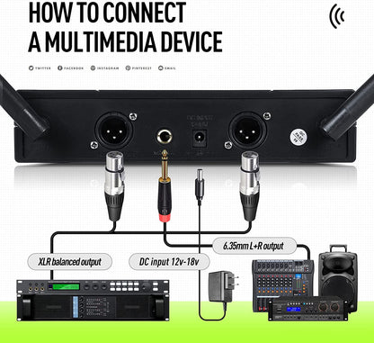 Riworal Wireless Microphone System Uhf Cordless Handheld Dual Mic Set Dynamic with BT Receiver Box + Volume Control (SLXD4) - Hatke